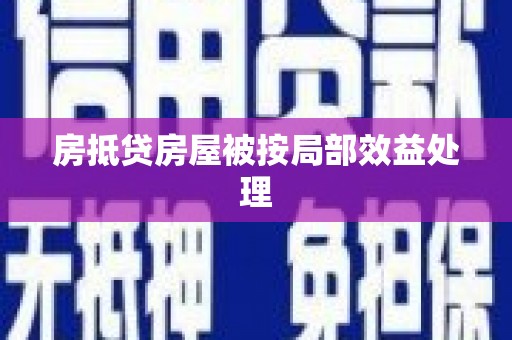 宁国房抵贷房屋被按局部效益处理