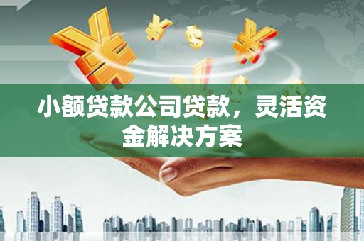 普兰店小额贷款公司贷款，灵活资金解决方案