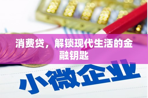 天镇消费贷，解锁现代生活的金融钥匙
