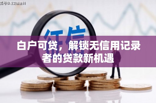 岳阳楼白户可贷，解锁无信用记录者的贷款新机遇