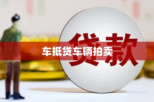 仁爱车抵贷车辆拍卖
