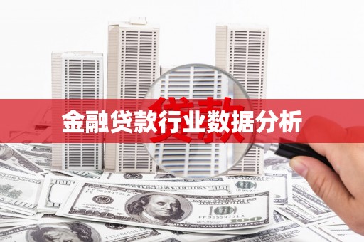 小金金融贷款行业数据分析