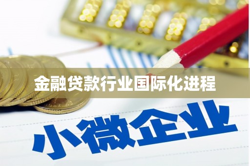 尼木金融贷款行业国际化进程