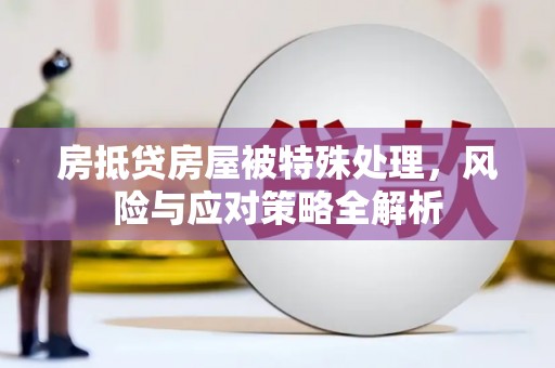 尉犁房抵贷房屋被特殊处理，风险与应对策略全解析