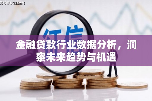 桃园金融贷款行业数据分析，洞察未来趋势与机遇