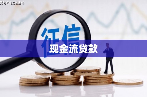 永新现金流贷款