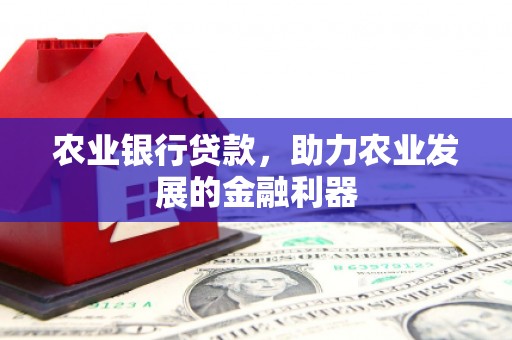 容城农业银行贷款，助力农业发展的金融利器