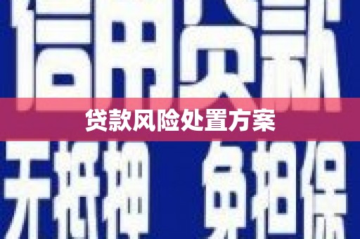 兴庆贷款风险处置方案