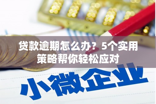 西宁贷款逾期怎么办？5个实用策略帮你轻松应对