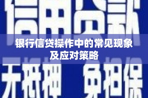 松江银行信贷操作中的常见现象及应对策略