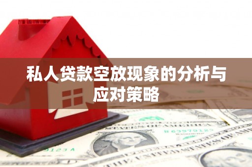 安溪私人贷款空放现象的分析与应对策略