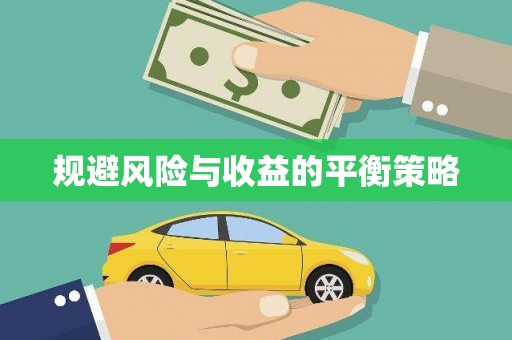 雨城规避风险与收益的平衡策略