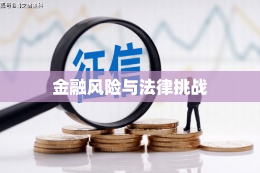 乐安金融风险与法律挑战
