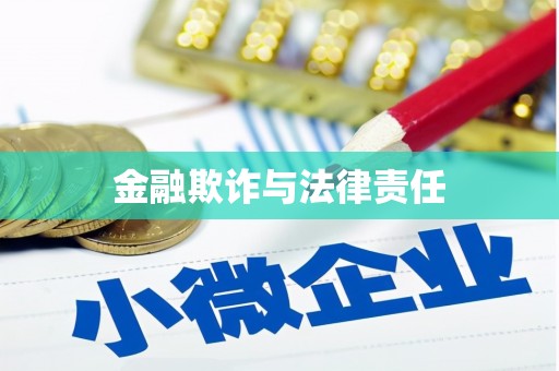 横沥金融欺诈与法律责任