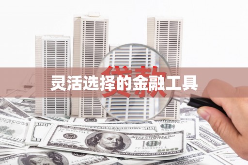 盐城灵活选择的金融工具