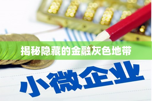埌东揭秘隐藏的金融灰色地带