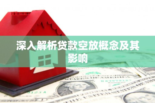 邵武深入解析贷款空放概念及其影响