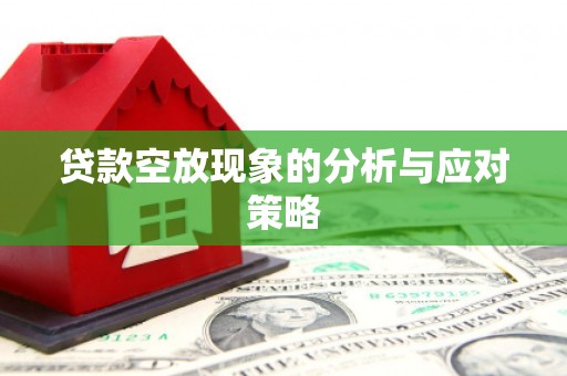 晋中贷款空放现象的分析与应对策略