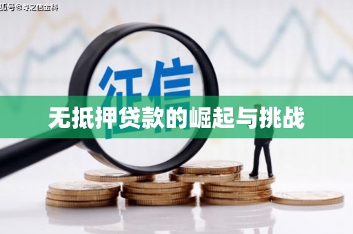 乐安无抵押贷款的崛起与挑战