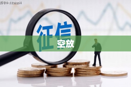 进贤空放