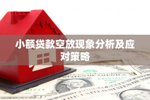 兰西小额贷款空放现象分析及应对策略