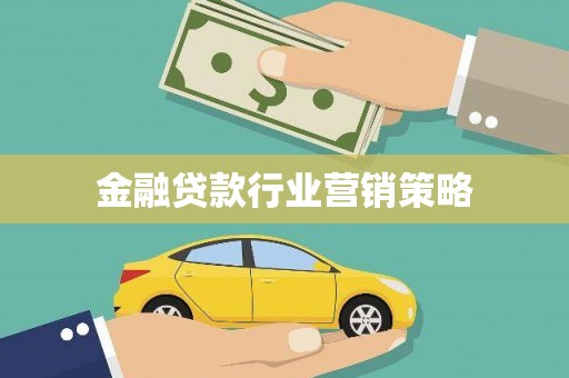 陇川金融贷款行业营销策略