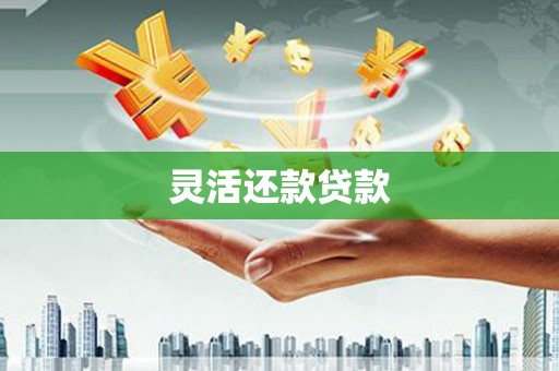 陇川灵活还款贷款